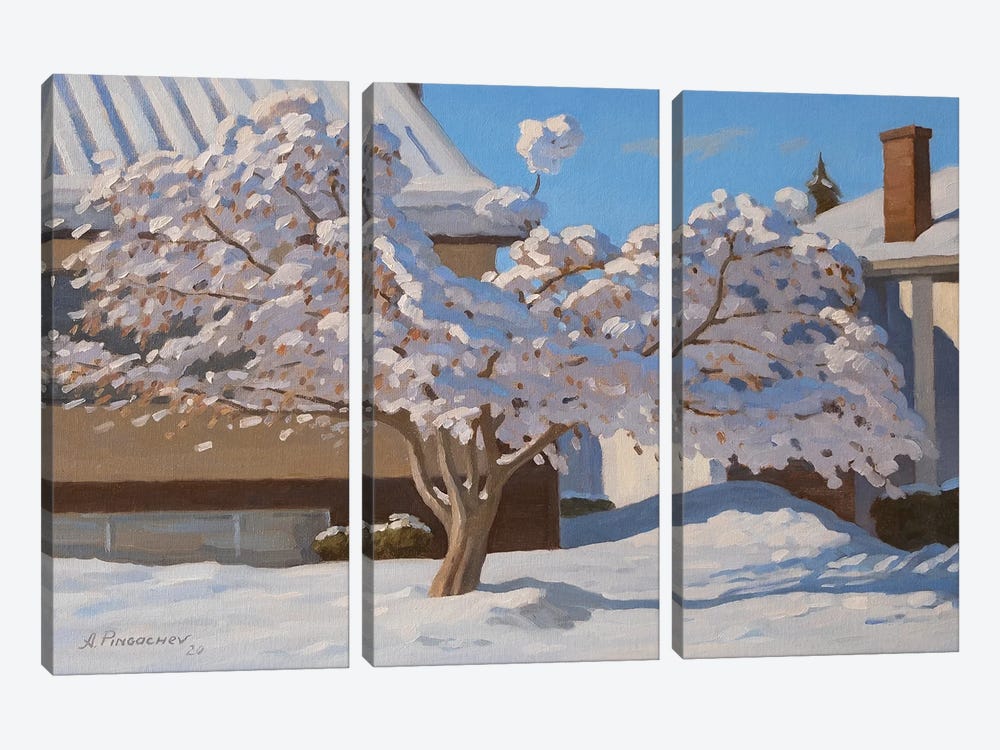 Sunny Winter Day by Andrey Pingachev 3-piece Canvas Art