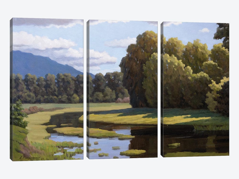 Backwater by Andrey Pingachev 3-piece Canvas Art