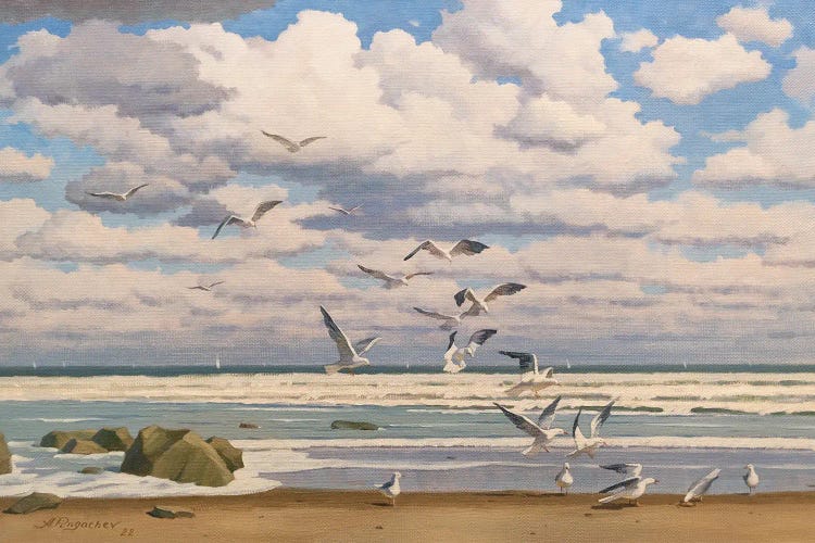 Seagulls