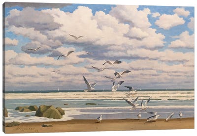 Seagulls Canvas Art Print - Andrey Pingachev