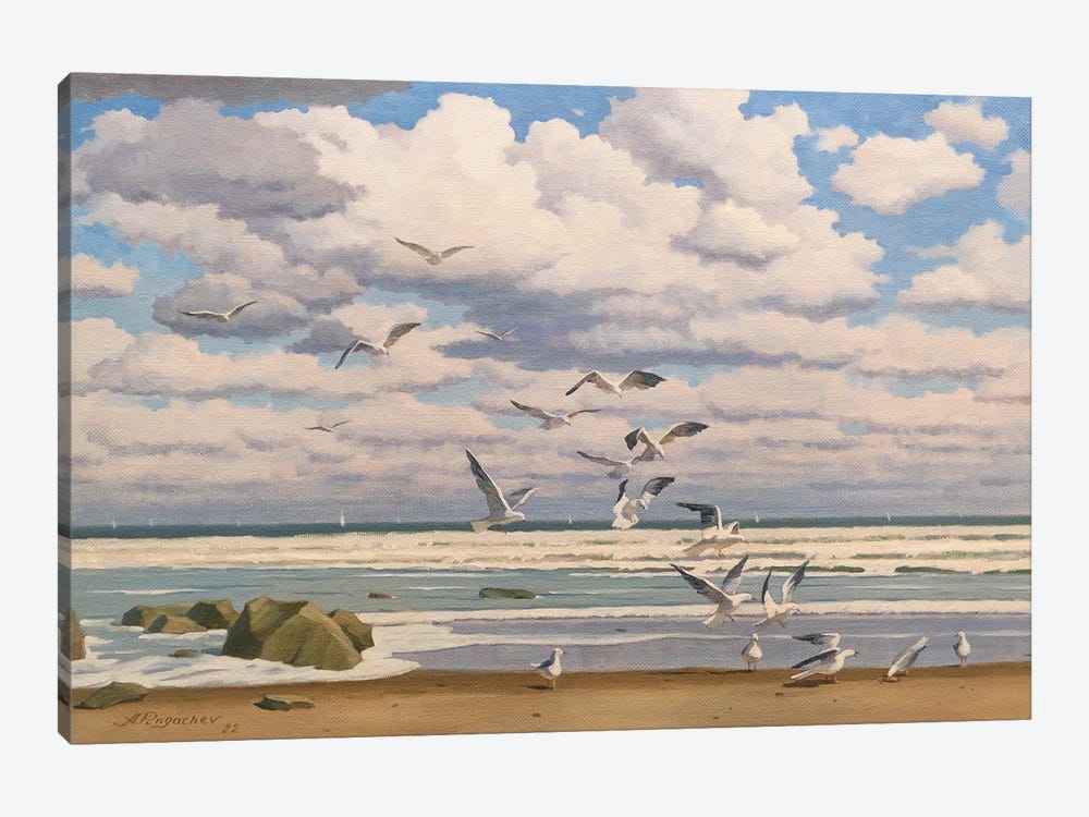 Seagulls by Andrey Pingachev 1-piece Canvas Art Print