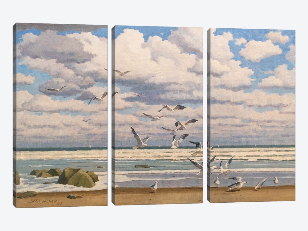 Seagulls by Andrey Pingachev 3-piece Canvas Art Print