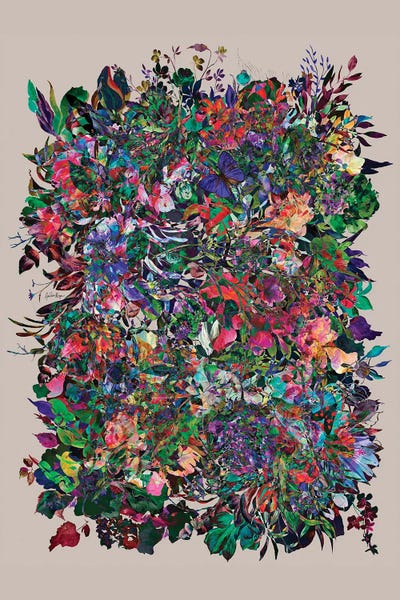 Butterflies and Flowers: Catarse by Ana Paula Hoppe