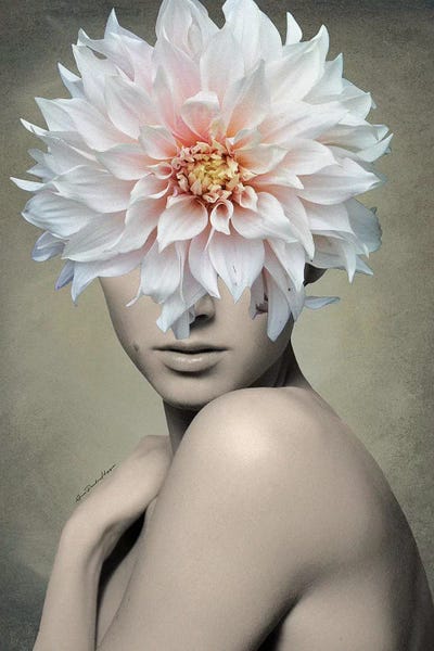 Dahlias: Dahlia by Ana Paula Hoppe