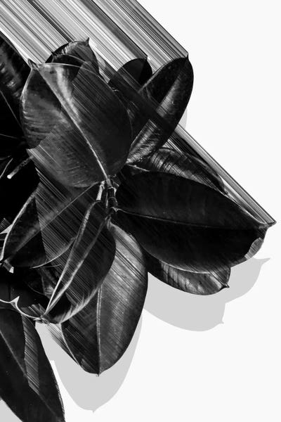 Adam Priester: We Crush In B&W by Adam Priester