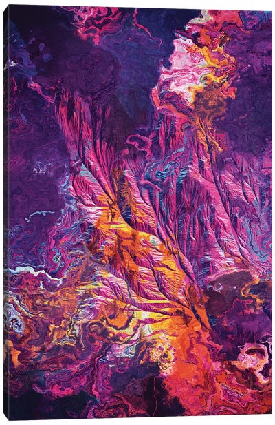 Predormitum Canvas Art Print - Psychedelic Coral