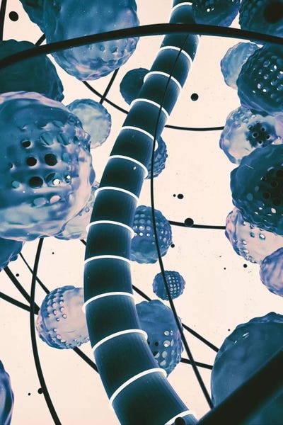 Adam Priester: 1608 by Adam Priester