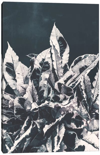 Dusk Canvas Art Print - Leaf Art