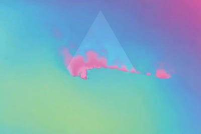 E.IN1 by Adam Priester canvas print