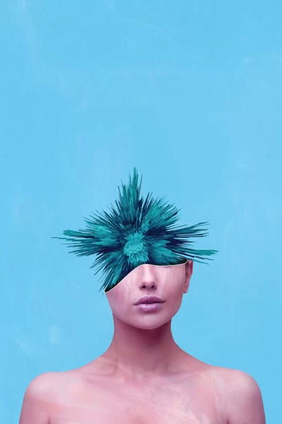 Head Grenade by Adam Priester canvas print