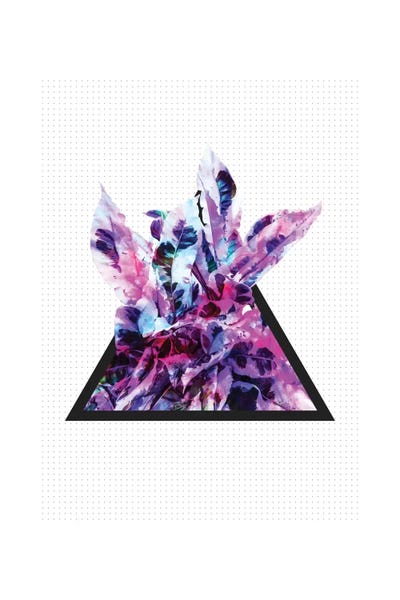 Night by Adam Priester canvas print