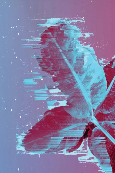 Banana Leaf by Adam Priester canvas print