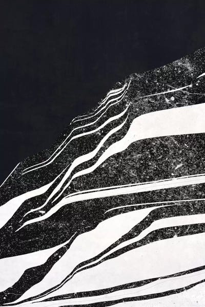 Sequoia by Adam Priester framed wall art