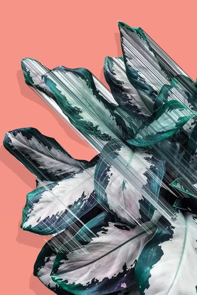 Green Leaves: Skyward by Adam Priester