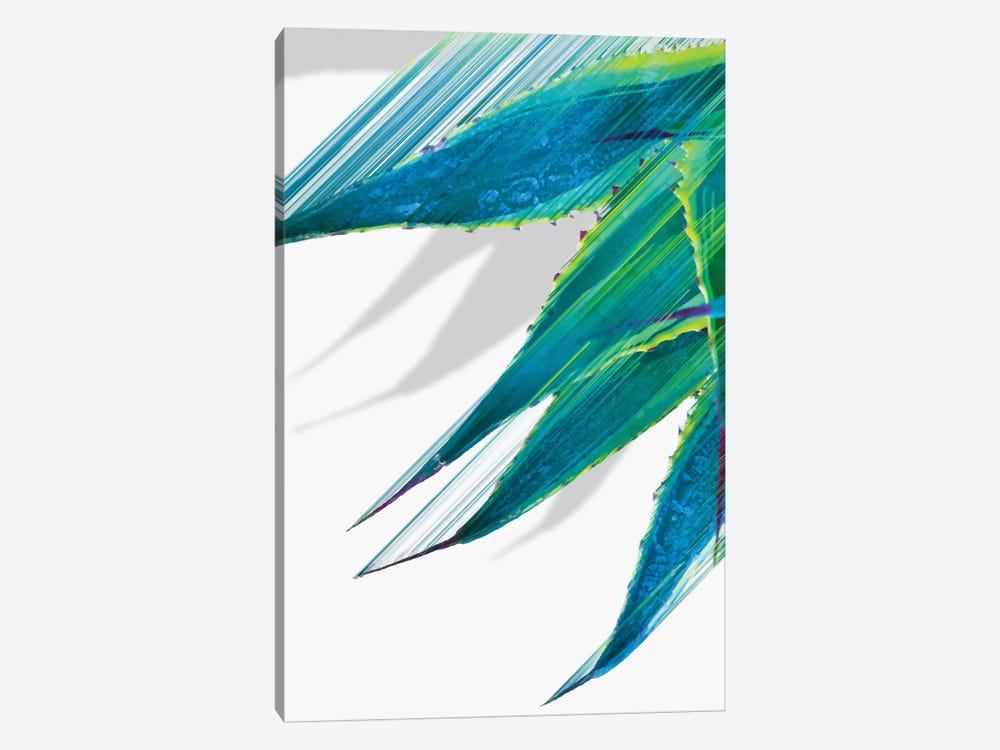 Soaring Agave by Adam Priester 1-piece Canvas Art Print