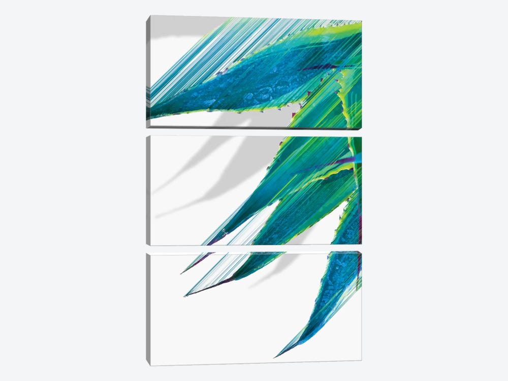 Soaring Agave by Adam Priester 3-piece Canvas Art Print
