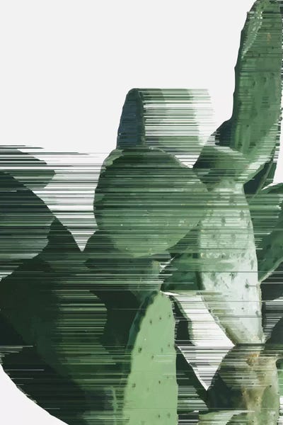 Adam Priester: Sorted Cactus by Adam Priester