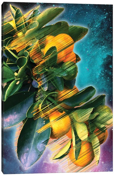 Space Fruit Canvas Art Print - Glitch Effect