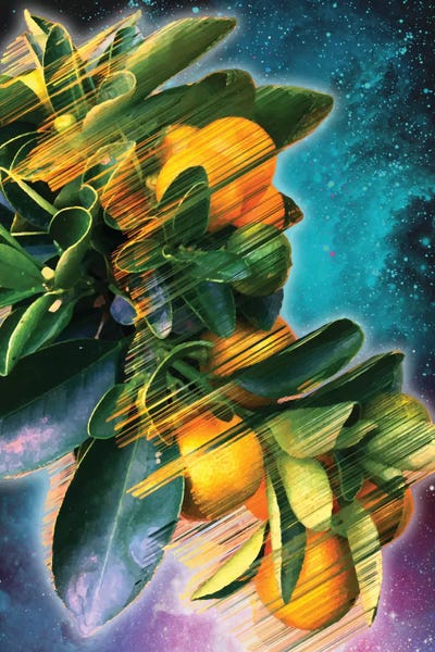 Adam Priester: Space Fruit by Adam Priester