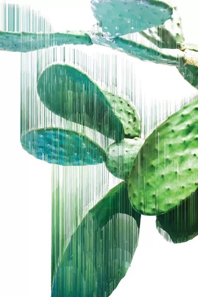 Cacti: The Fastest Cactus by Adam Priester