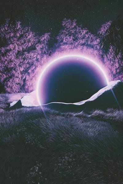 Sci-Fi Planets: Untrue by Adam Priester