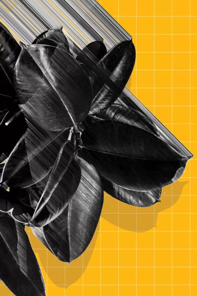 We Crush by Adam Priester framed canvas print