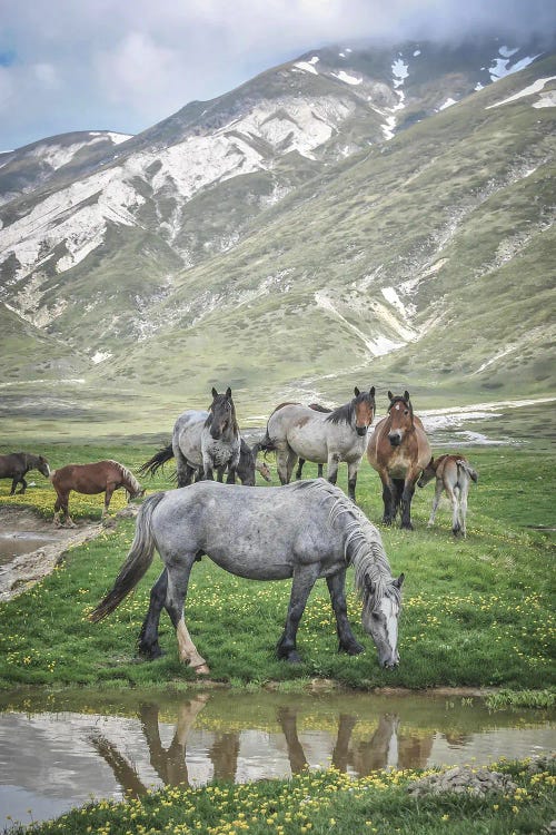 Little Tibet I