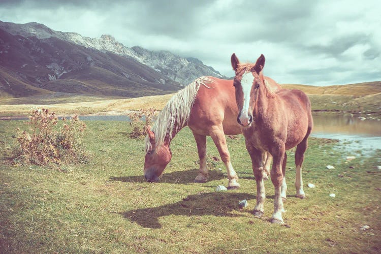 Little Tibet III
