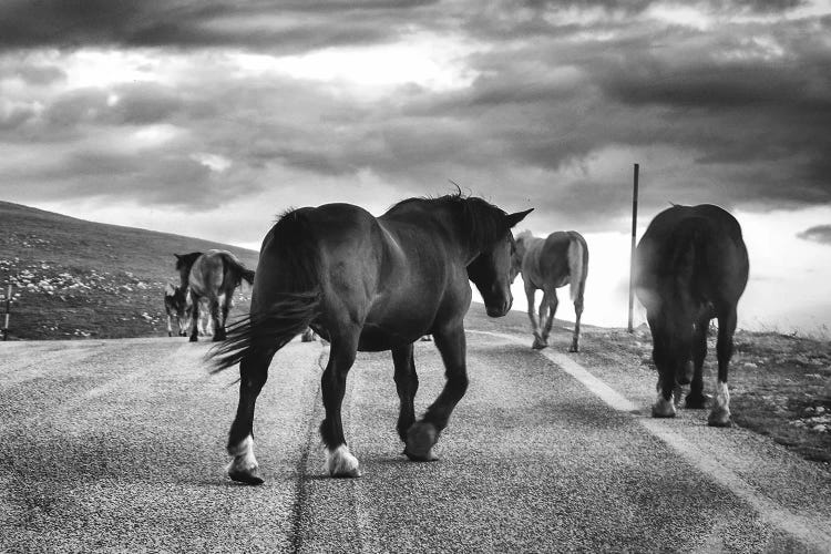 Little Tibet IV