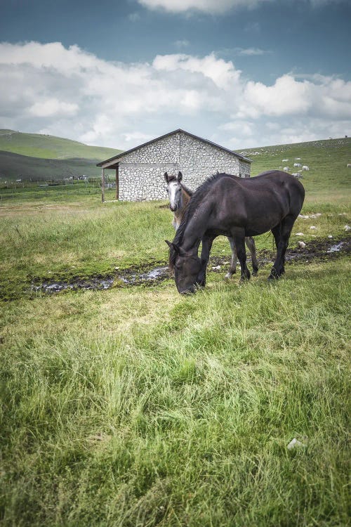 Little Tibet XIV by Alessandro Passerini wall art