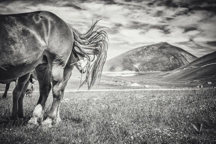 Little Tibet XVII