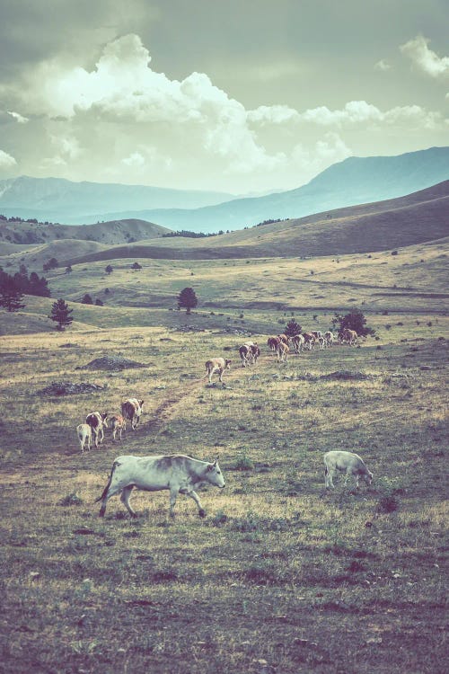 Little Tibet XVIII by Alessandro Passerini wall art