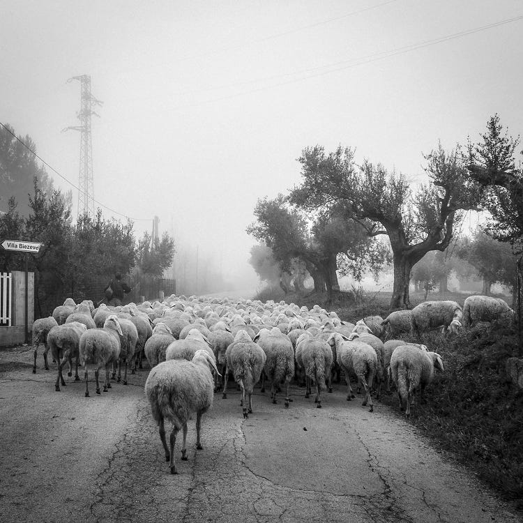 Abruzzo II by Alessandro Passerini wall art