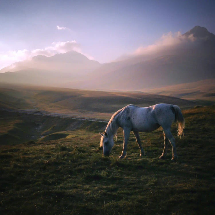 Little Tibet XXV