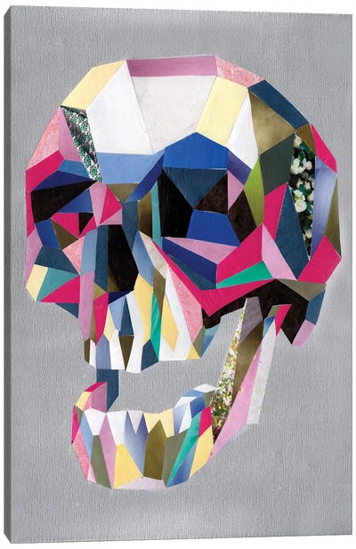 Skull Canvas Art Print - Artpoptart
