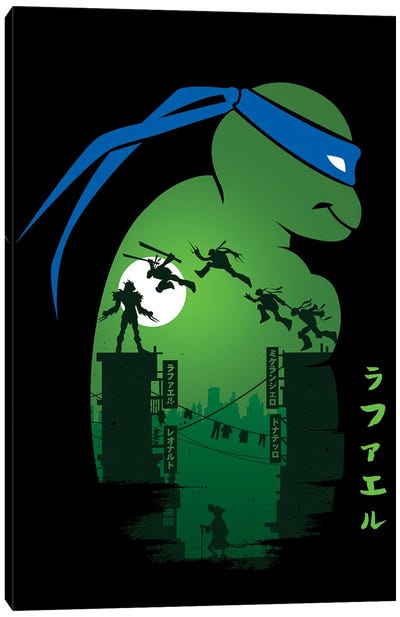 Hero Turtles Canvas Art Print - Teenage Mutant Ninja Turtles