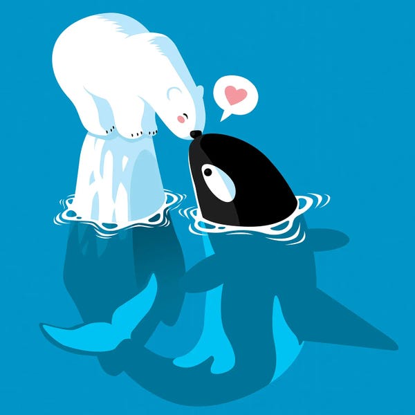 Polar Bears: Polar and Killer Whale by Alberto Perez