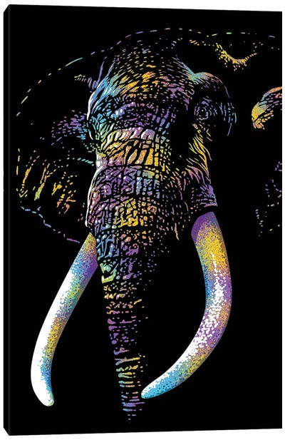 Elephant Colorful Canvas Art Print - Alberto Perez
