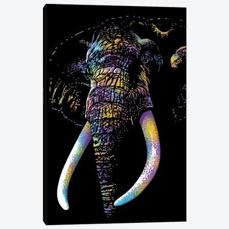 Elephant Colorful Canvas Print #APZ176} by Alberto Perez Canvas Artwork
