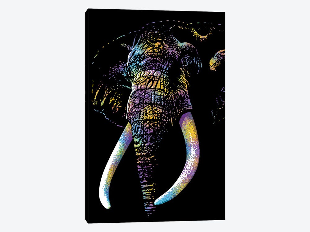 Elephant Colorful by Alberto Perez 1-piece Art Print