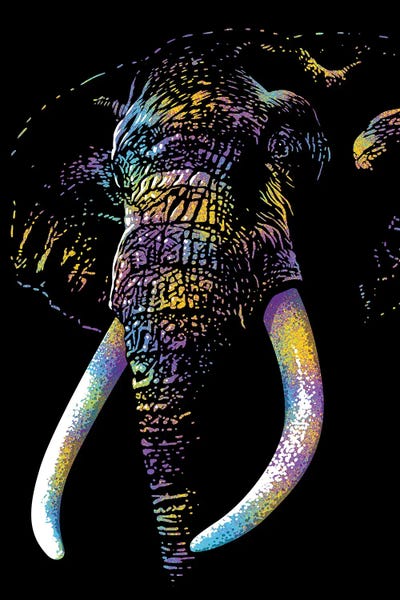 Alberto Perez: Elephant Colorful by Alberto Perez