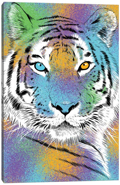 Sketch Tiger Colorful Canvas Art Print - Alberto Perez