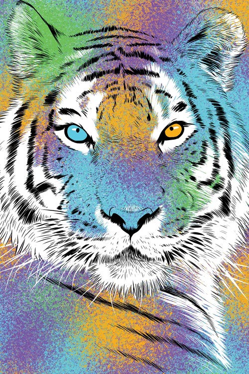 Sketch Tiger Colorful