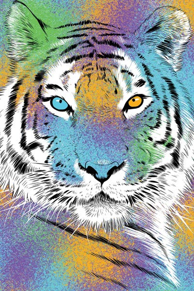 Alberto Perez: Sketch Tiger Colorful by Alberto Perez