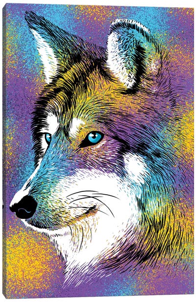 Sketch Wolf Colorful Canvas Art Print - Alberto Perez