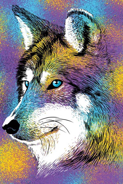 Alberto Perez: Sketch Wolf Colorful by Alberto Perez