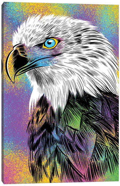 Sketch Eagle Colorful Canvas Art Print - Alberto Perez