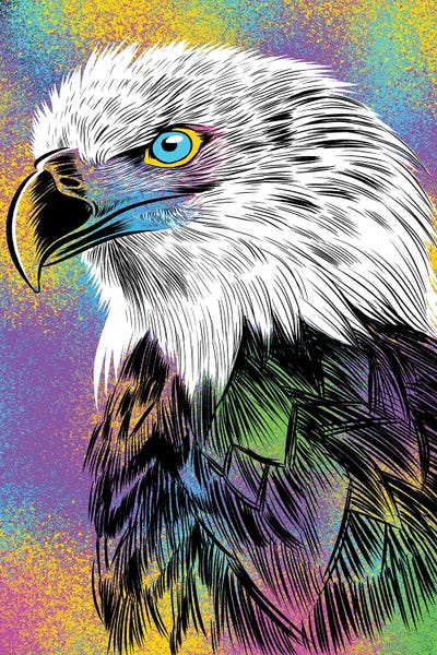 Alberto Perez: Sketch Eagle Colorful by Alberto Perez