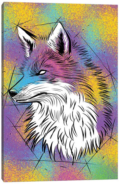 Sketch Fox Colorful Canvas Art Print - Alberto Perez