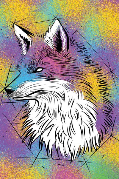 Alberto Perez: Sketch Fox Colorful by Alberto Perez